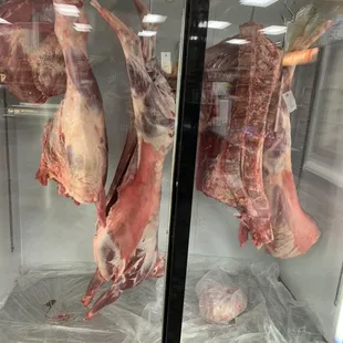 Fresh cut always halal