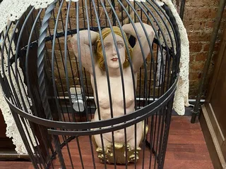 CORA'S CURIOSITIES