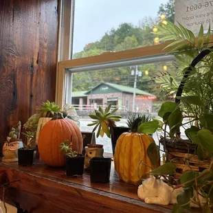 The cutest fall decor!