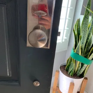 New modern door handle set