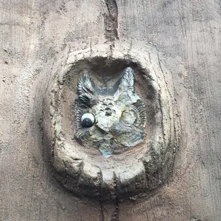 Owl
