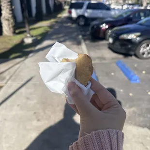 sample of meat hand pie