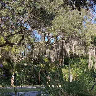 Pinellas Bike Path borders Home Plate patio.