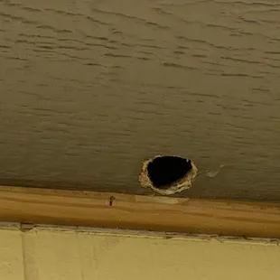 Unnecessary holes in soffits