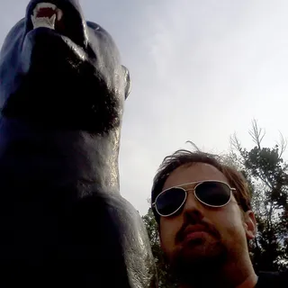 Tj P.