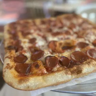 pepperoni and cheese pizza