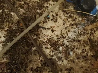 Hartman Duane Investments