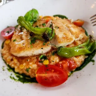 CA Halibut Filet with Corn Heirloom Tomato Risotto, Padrones &amp; Basil