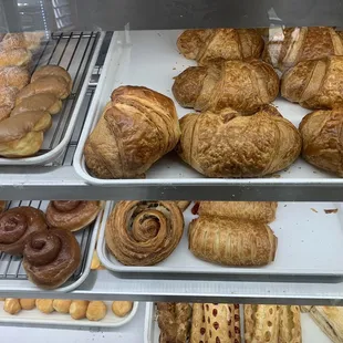 4/28/23 These babies look HUGE!!