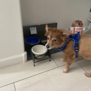 Barry indicating that he needs more food, but Renee won't fall for his tricks.