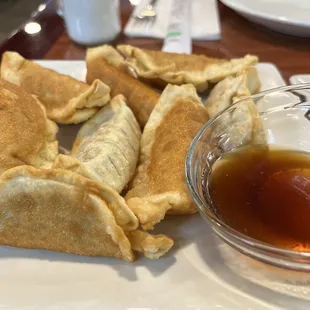 Pork Pot Stickers
