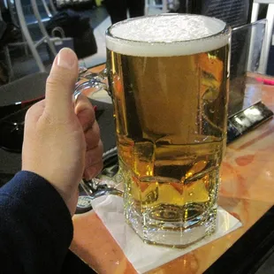 a person holding a glass of beer
