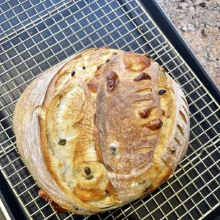 Homemade Organic Jalapeño and Raw Cheddar Sourdough Loaf