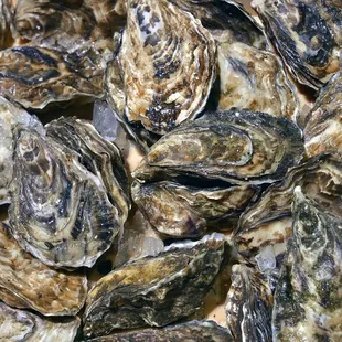 Our Delaware Bay or James River Oysters are "springy": refreshingly salty, textually buttery, slightly metallic-like and superbly smooth.