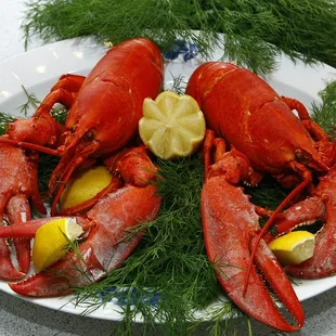 Your taste buds will marvel over the rich lobster meat, bite-sized and perfect for a dipping fork into garlic butter.