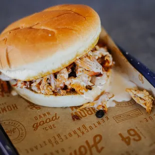 a pulled pork sandwich