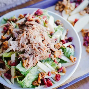 a plate of chicken salad