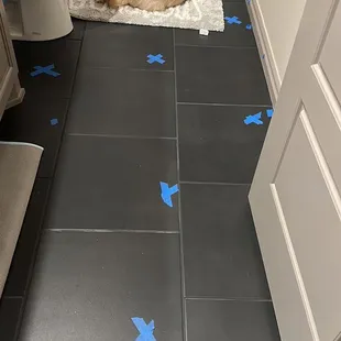 These tiles along with over 50 more are not glued to the concrete