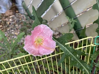 Bancroft & Associates