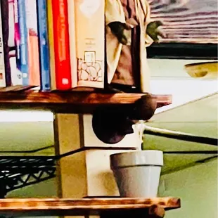 a shelf with books and a potted plant