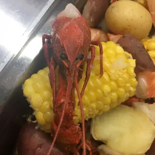 Seafood buffet every Friday night!