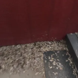 Sitting area full of leaves