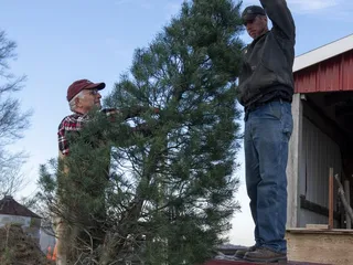Fulk's Tree Farm