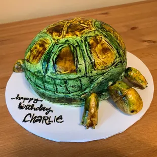 Turtle cake
