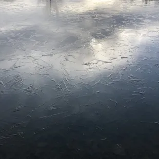 A pond in process of freezing