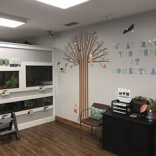 interior of nature center with small reptile/animal exhibits.