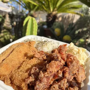 Katsu chicken &amp; Korean chicken (2 item plate)