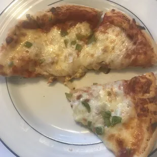 two slices of pizza on a plate