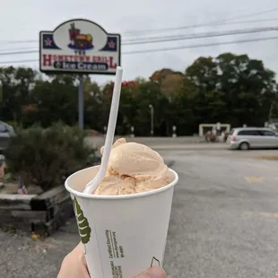 Pumpkin Ice Cream