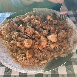 Hibachi chicken and fried rice