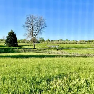 Beautiful view from our window