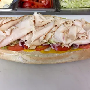 Turkey Cold Sub