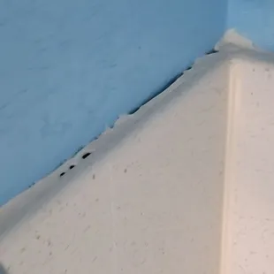 They were divining in and out of these holes, this is the top of the shower.