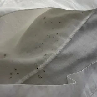 Mold on pillows