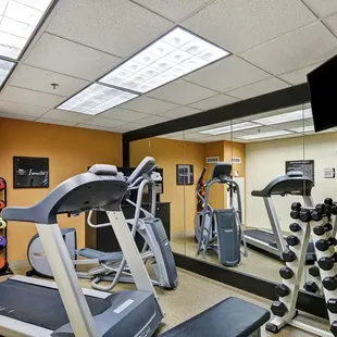 Health club  fitness center  gym