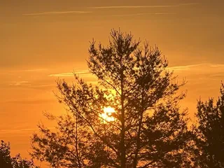 Tru by Hilton Lexington Hamburg