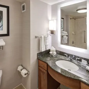 Suite Bathroom