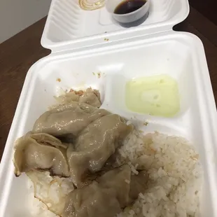 Gyoza Pork Gyoza