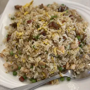 Combination Fried Rice or yeoungchow fried rice