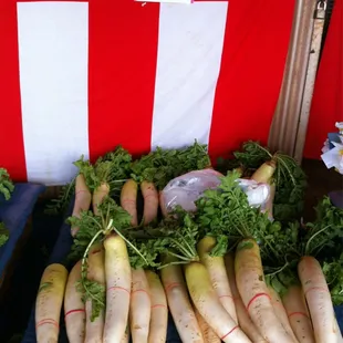 HUGE daikon