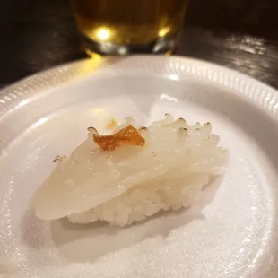 Squid