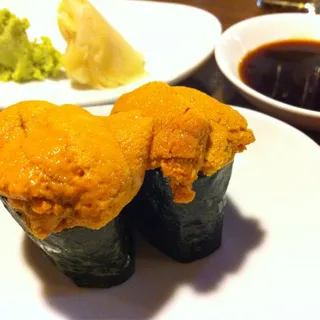 Sea Urchin