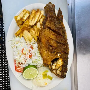 grilled fish, food