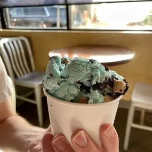 Cookie Monster (2 scoops in a cup)