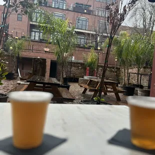 Back patio