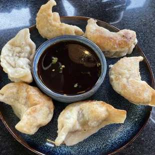 Pork fried dumplings